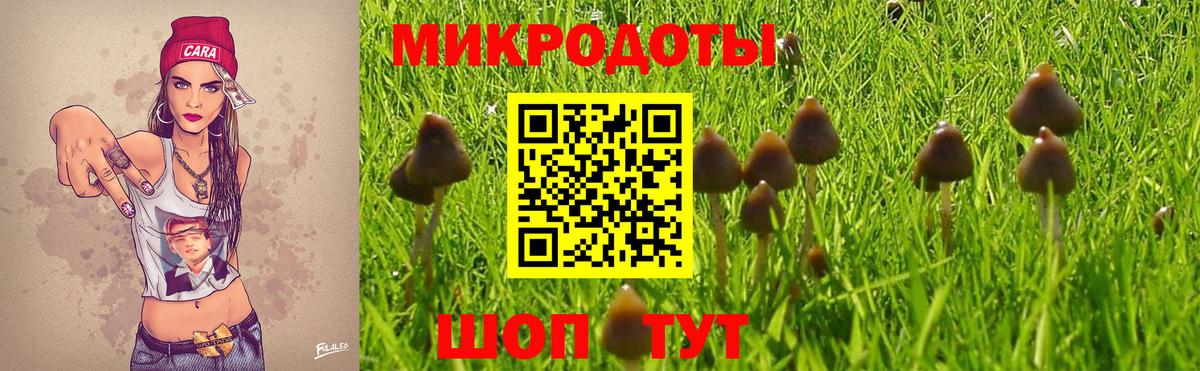 Псилоцибиновые грибы Psilocybe  где купить   Донецк  Вход с VPN 